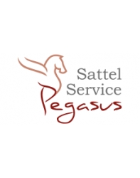 Sattel Service Pegasus