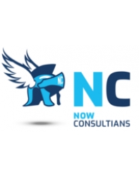 NOW CONSULTIANS GmbH & Co. KG